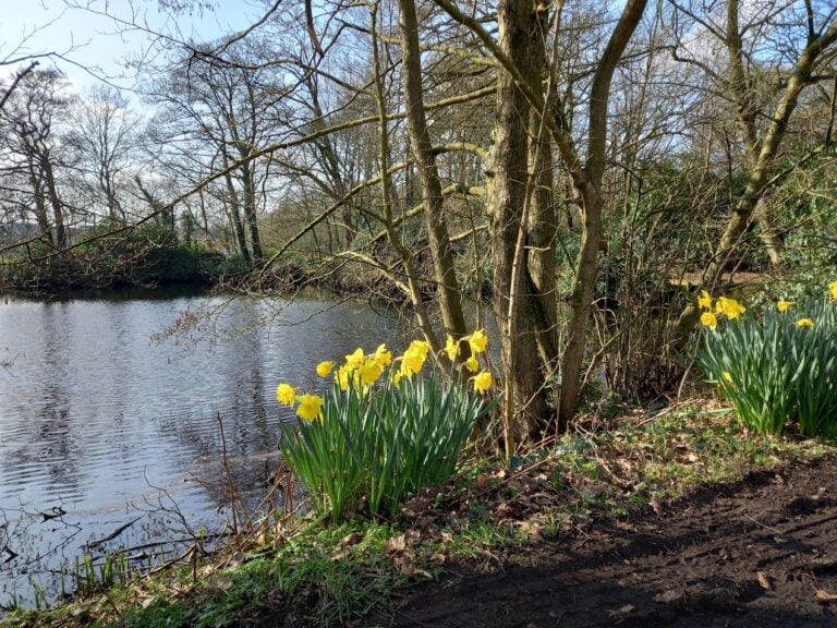 High Legh Community Association